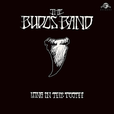 The Budos Band Long In The Tooth Album