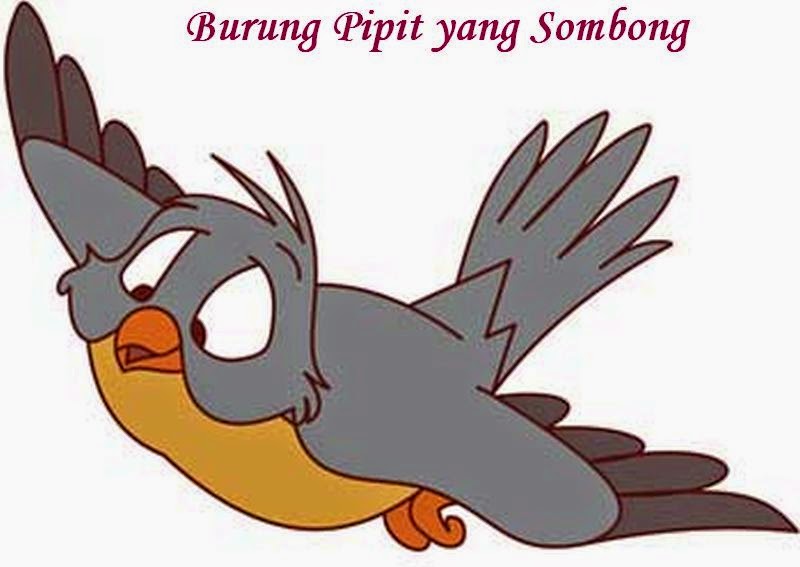 Gambar Burung Lucu Kartun Blog Tentang Burung