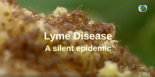 萊姆病 Lyme disease