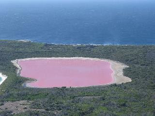 Pink lake /Pink lake Australia