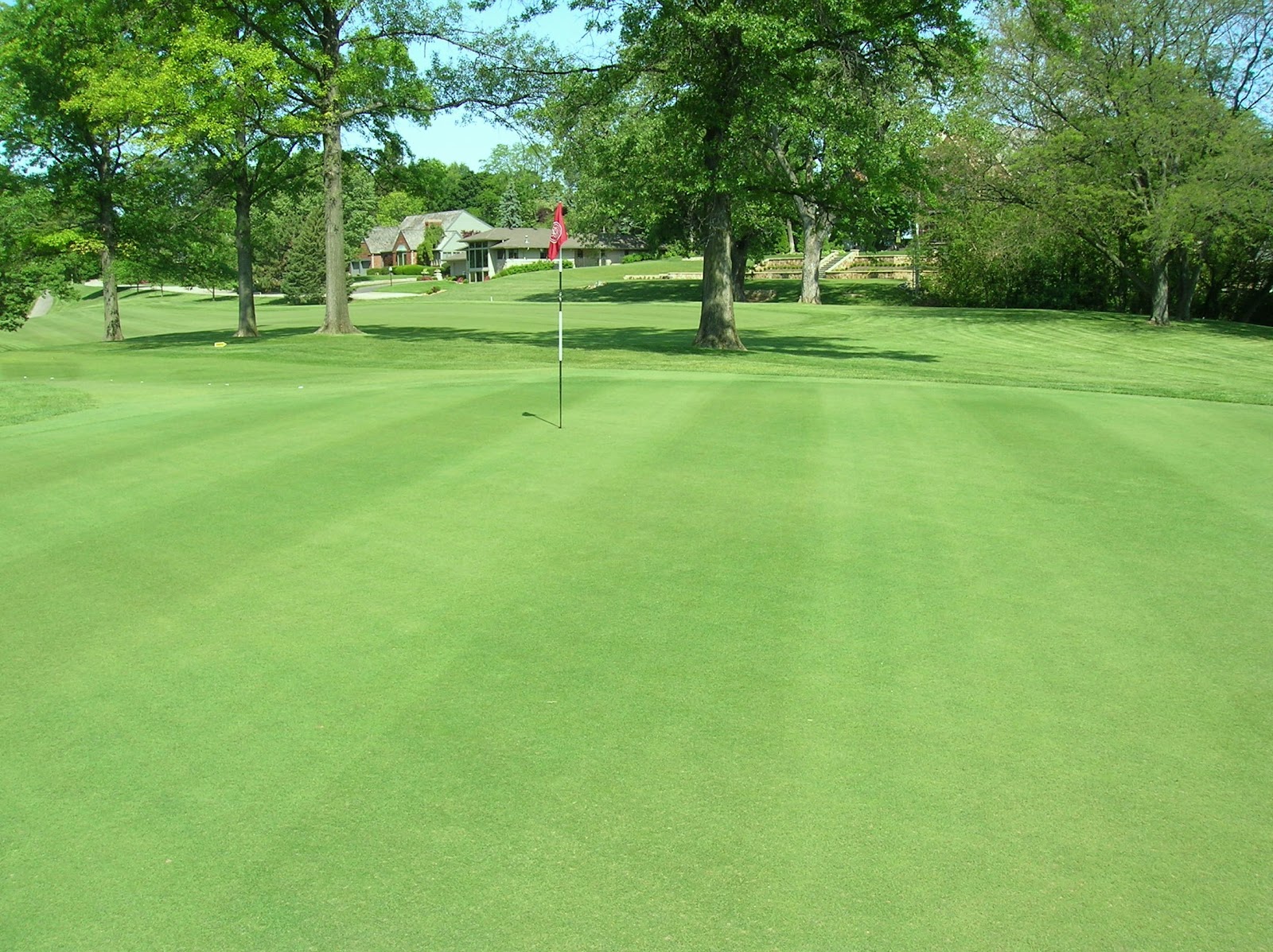 Country Club of Peoria Golf Maintenance Turf Recovering Nicely From