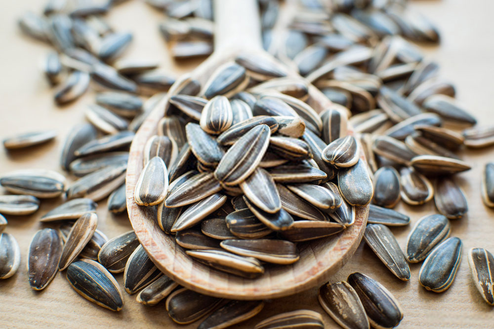 15 Benefits of Sunflower Seeds For Skin and Hair