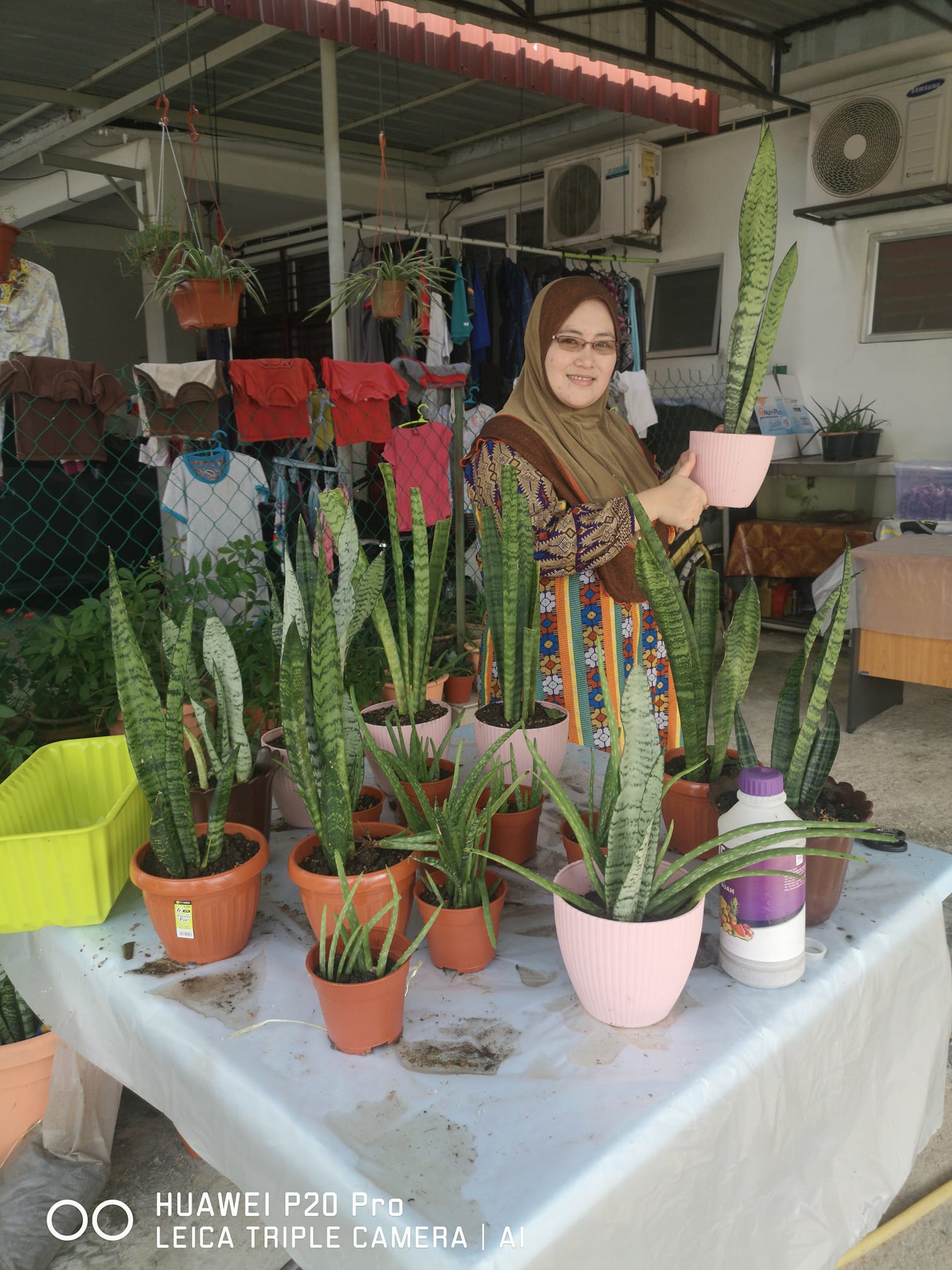 Nursery Bandar Saujana Putra - Search for the latest bandar saujana