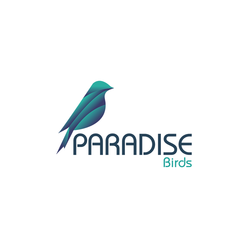 Paradise Birds