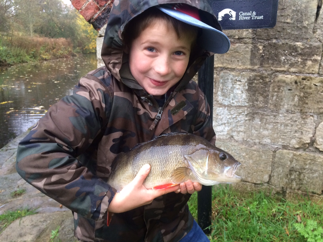 November 2015 Fish of the Month Entry Ripon Perch!