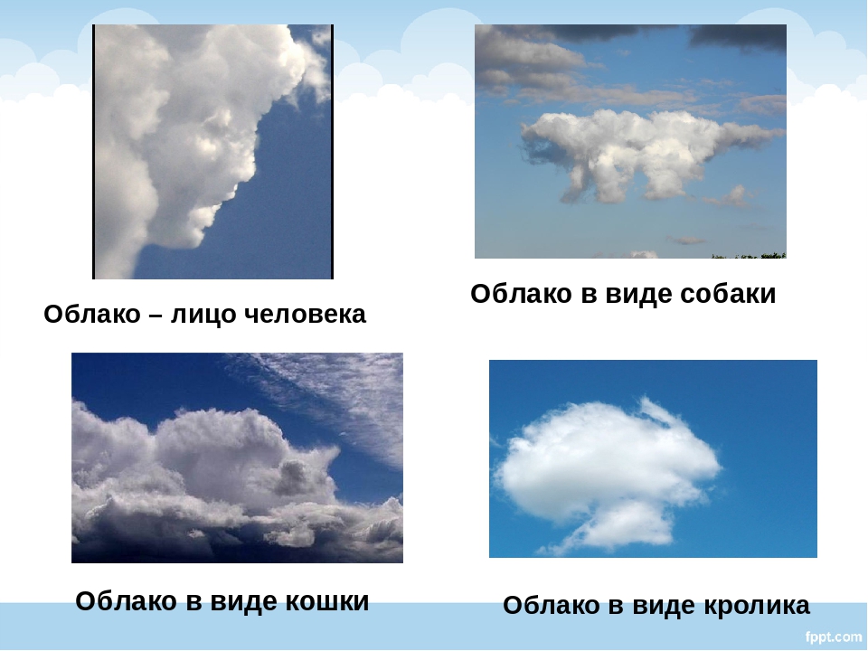 Какие облака могут принести затяжные дожди. Виды облаков. Название разных облаков. Какие бывают облака картинки. Облака разной формы.