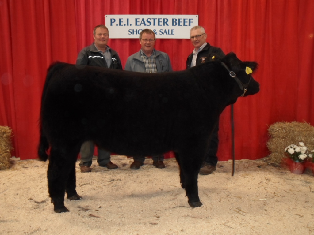 PEI Angus Association March 2013