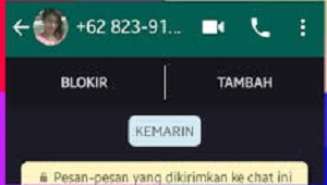 Cara Melihat Status WA Tanpa Berteman