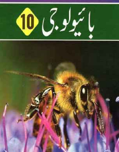 10th-class-all-books-in-pdf-download-urdu-and-english-medium