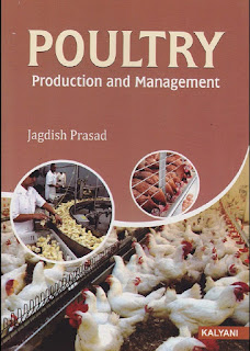 Poultry Production and Management