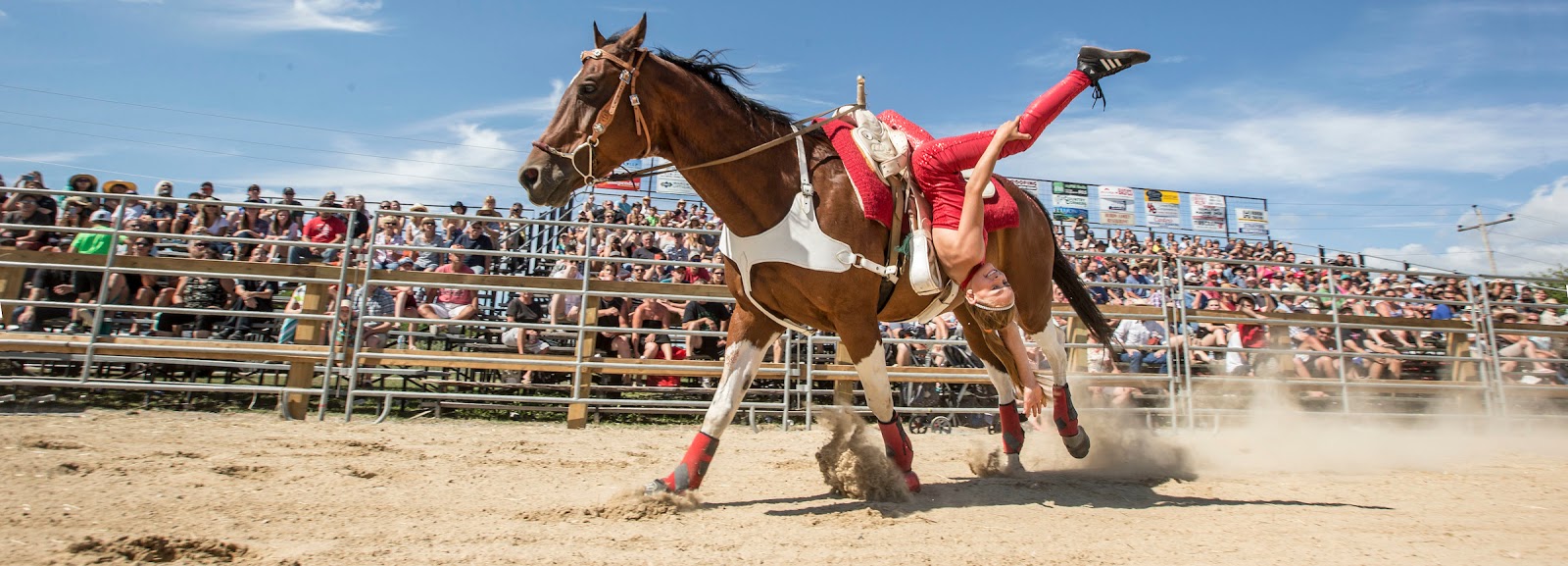 Exeter RAM Rodeo