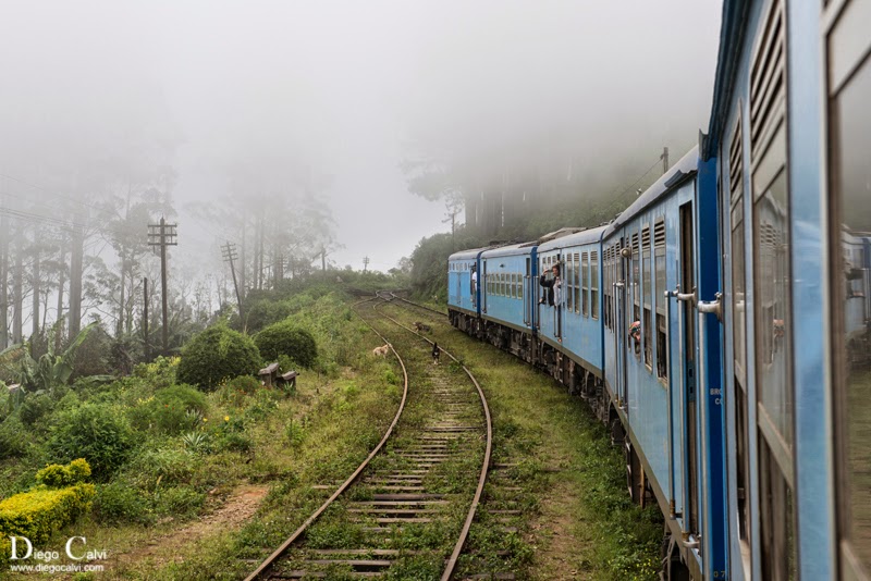 Tren de Kandy a Ella y sus plantaciones de Té - Sri Lanka, la lagrima de la India - Vuelta al Mundo (4)