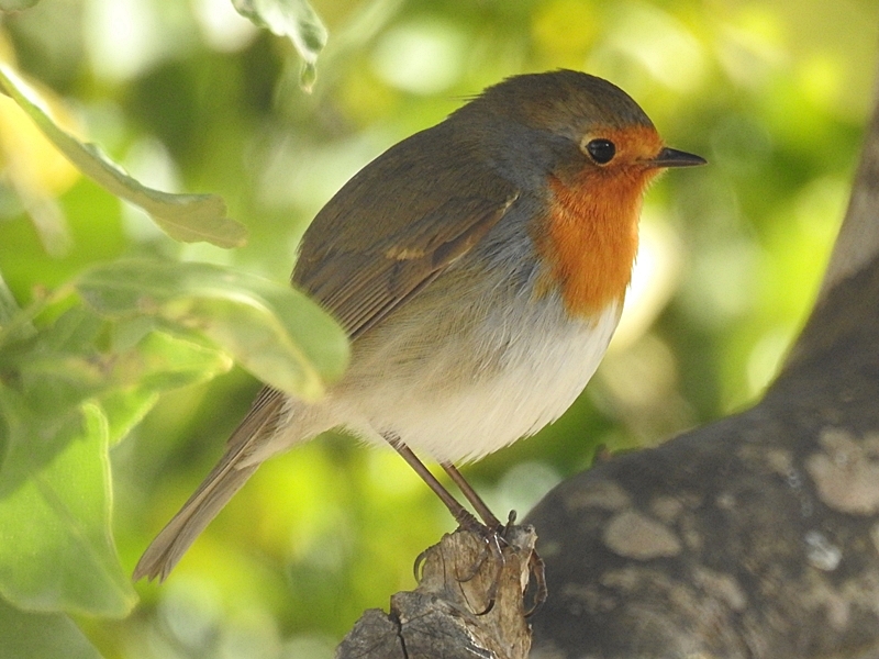 SaLiDaS a La NaTuRaLeZa Rambla de los Jarales