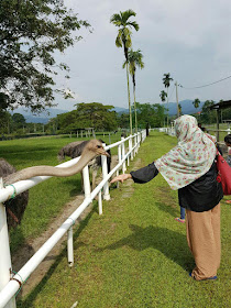 Tintamusafir November 2016