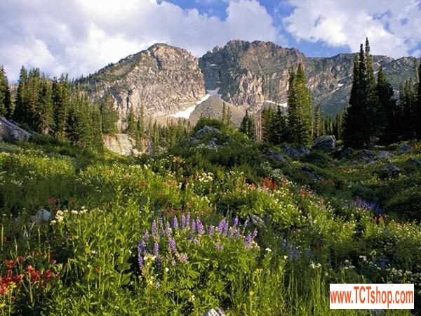 Gợi ý 10 điểm đến dành cho những ai muốn ở ẩn Gợi ý 10 điểm đến dành cho những ai muốn ở ẩn