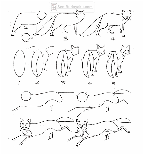 15 Cara Menggambar Hewan Yang Mudah Seni Budayaku