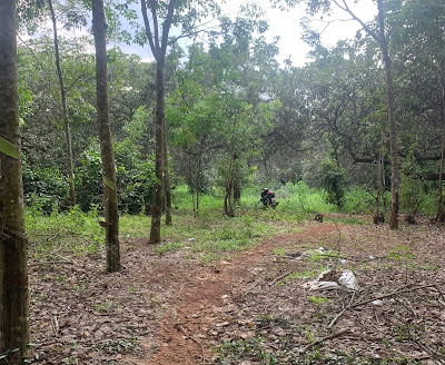 Bán đất rẫy vườn trái cây đất nông nghiệp ở xã Xuân Phú