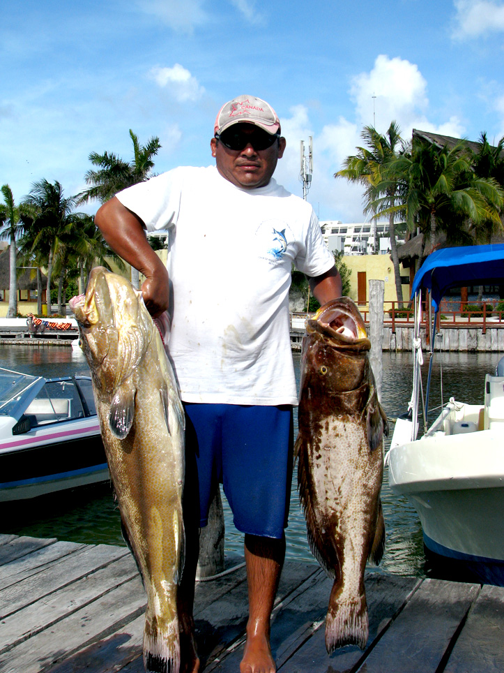 The most reliable options for cancun fish cancun fishing