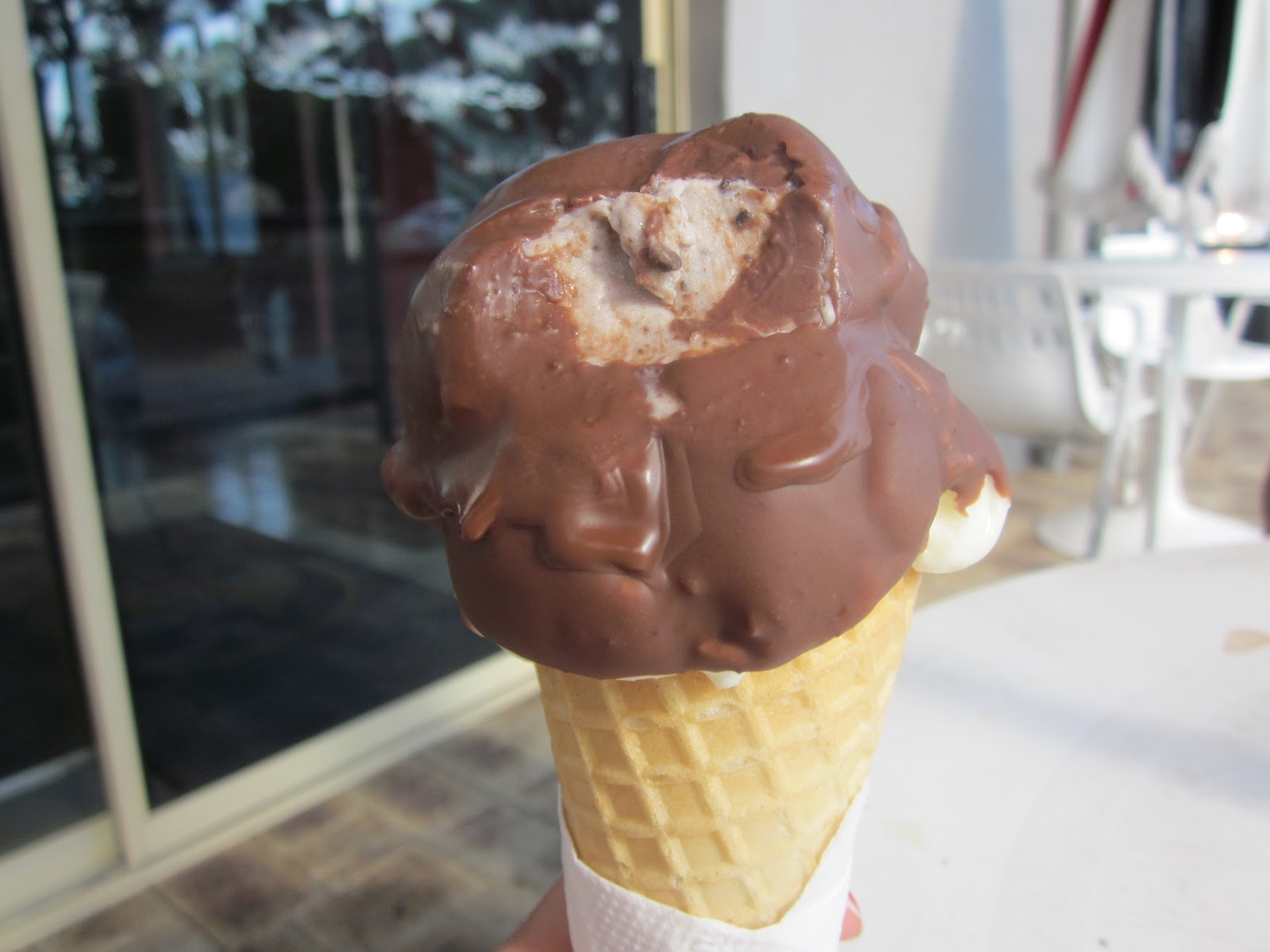 the sneaky pigeon The Junction Ice Creamery, 6056