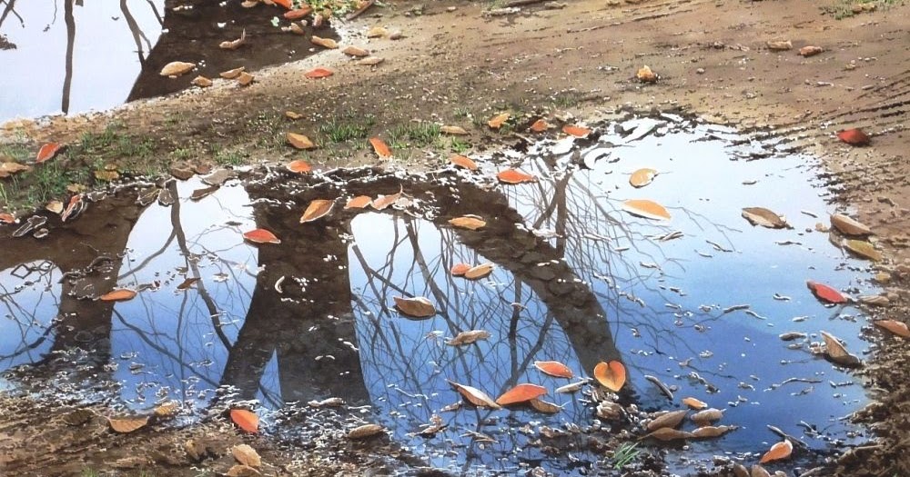 Colori Della Matematica Edizione Verde Esercizi Svolti