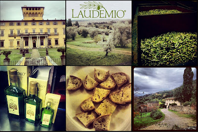 Laudemio Fattoria Maiano Fiesole