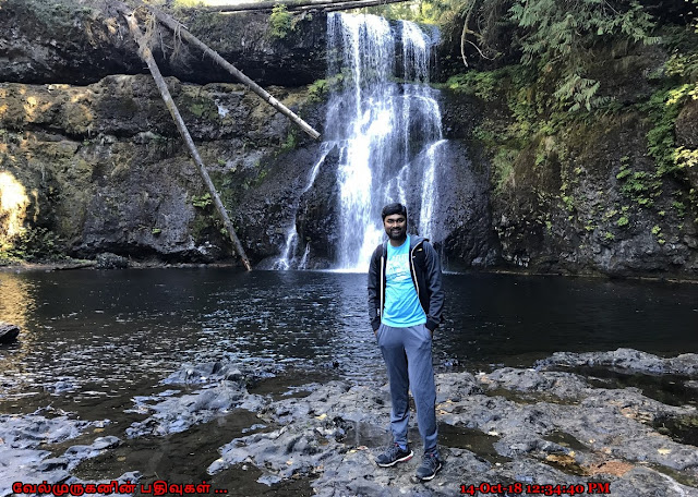 Upper North Falls Oregon 