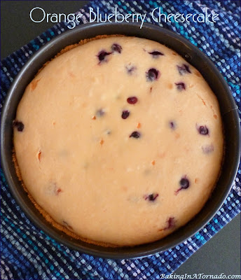 Orange Blueberry Cheesecake, bursting with orange flavor and studded with fresh blueberries. | Recipe developed by www.BakingInATornado.com | #recipe #dessert