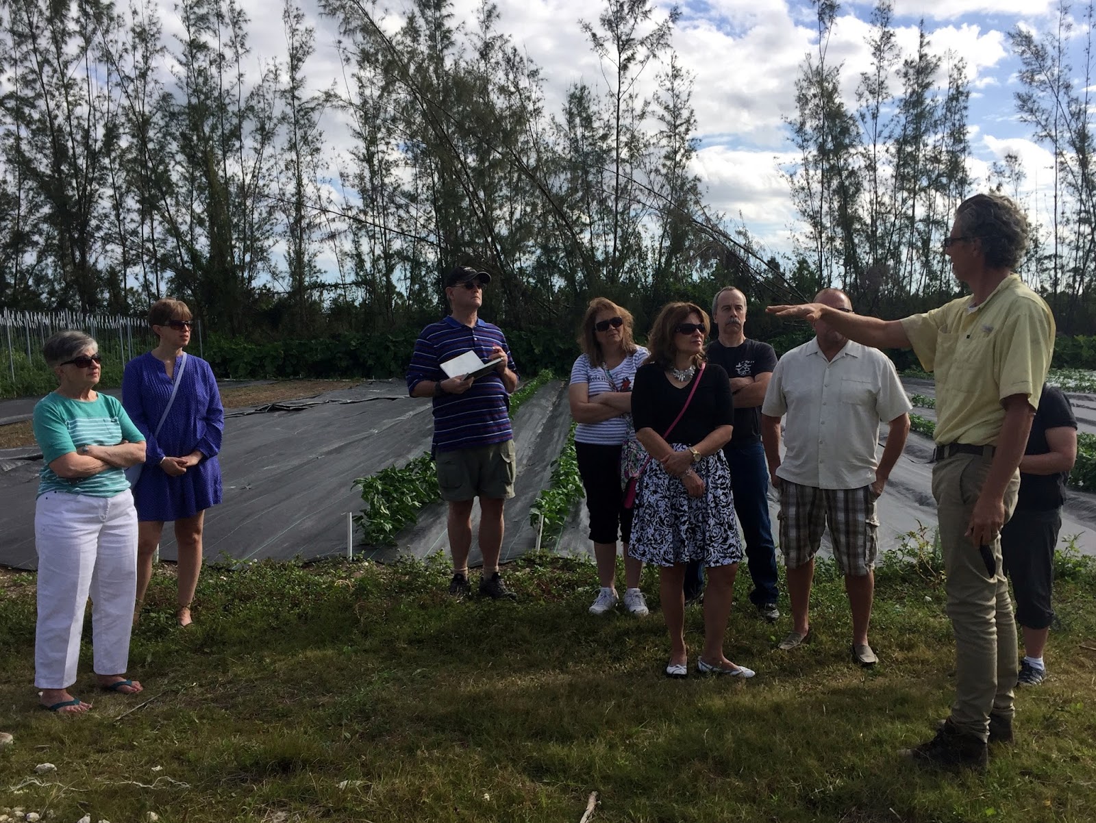Rosemary's Sampler Field to Fork Community Farm, Nassau, Bahamas