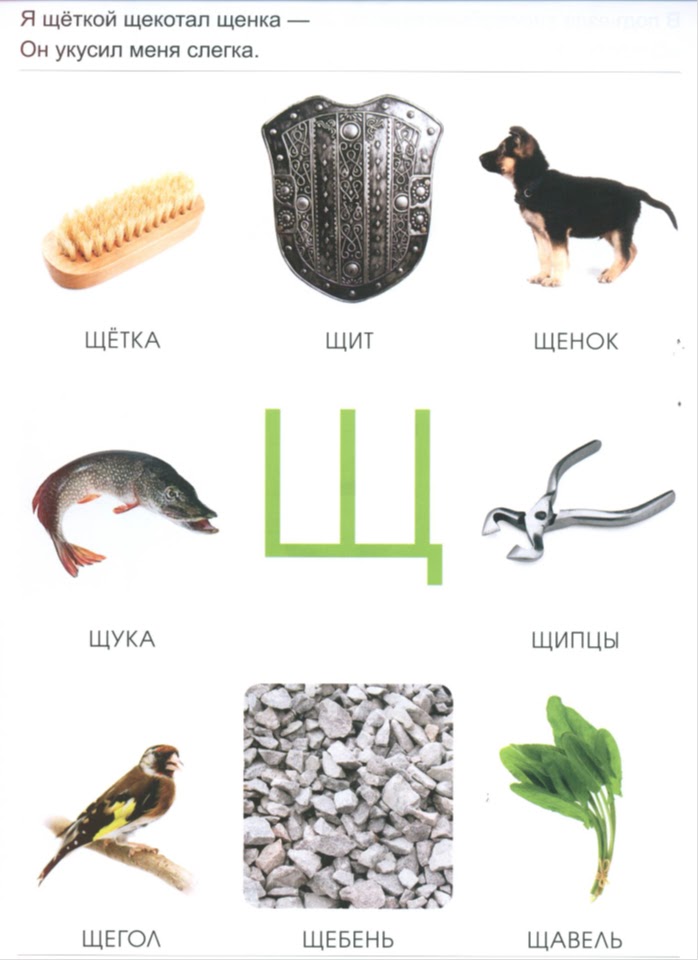 Звук щ в конце слова для детей в картинках