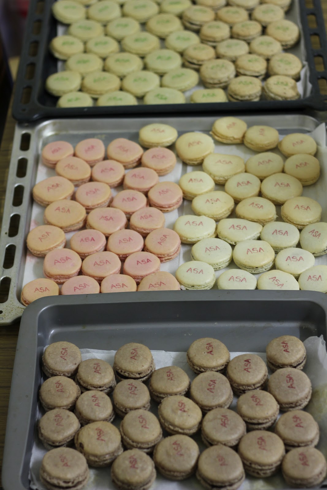 BAKING TRAY \________/ The wonderful world of MACARONS!!