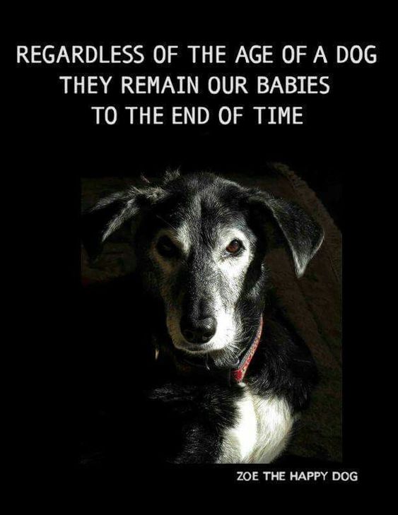 NEVER...EVER...GIVE UP HOPE 11 Reasons Why You Should (NOT) Have a