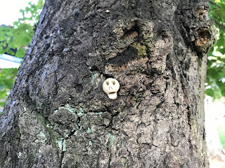 A picture showing a small, ceramic skull, Skulferatu #48, lodged in the hollow of a tree.  Photo by Kevin Nosferatu for the Skulferatu Project.