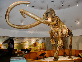 Mesozoic Musings at Jurassic Forest: Pleistocene Megafauna