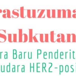 Trastuzumab Subkutan : Terapi Cara Baru Penderita Kanker Panyudara HER2-positif