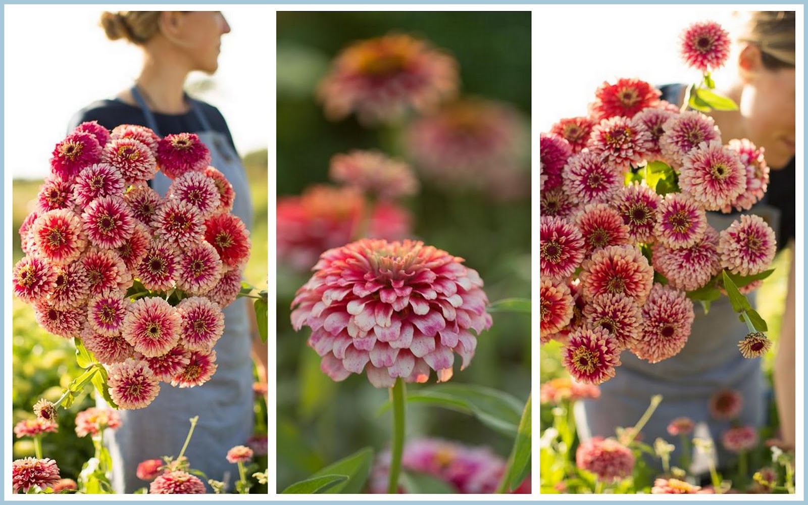 marieke nolsen Floret Flower /FarmerFlorist Collectief