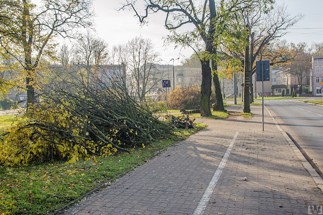 Budowa trasy tramwajowej na ulicy Kujawskiej w Bydgoszczy