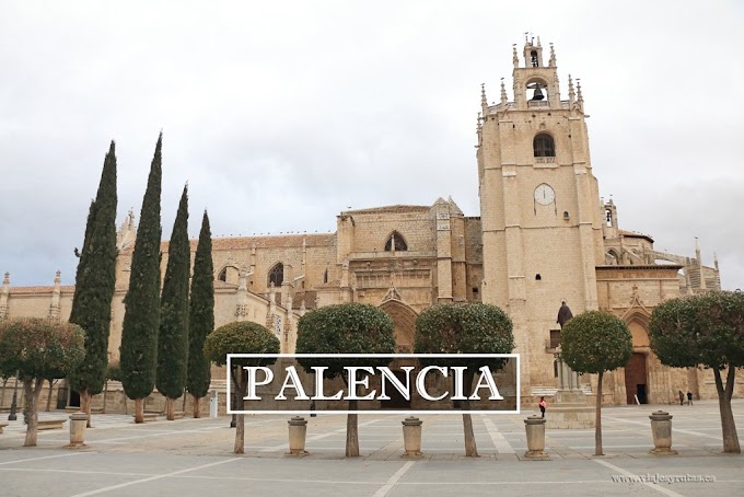 Qué ver en Palencia, la bella desconocida