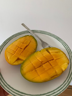 [뮌헨일기] 서머스비, 김재나들이, 무지카레, 그릴파티, 디제이잉