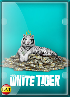 Tigre Blanco (2021) DVDRIP LATINO