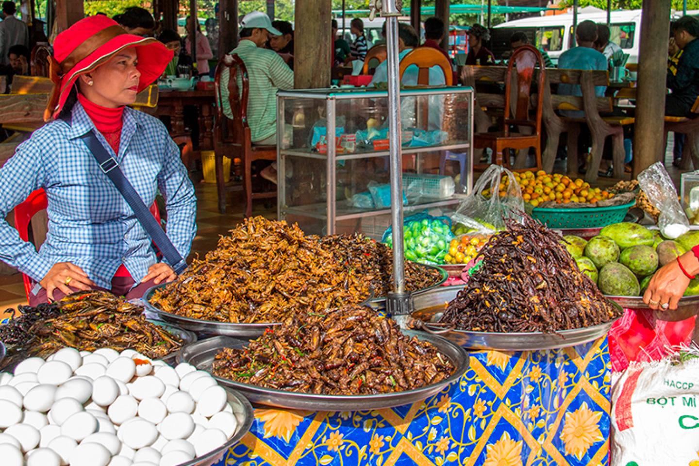 AROUND THE WORLD FOR FRUITS, FRIENDS AND NEW EXPERIENCES: THEY EAT ...