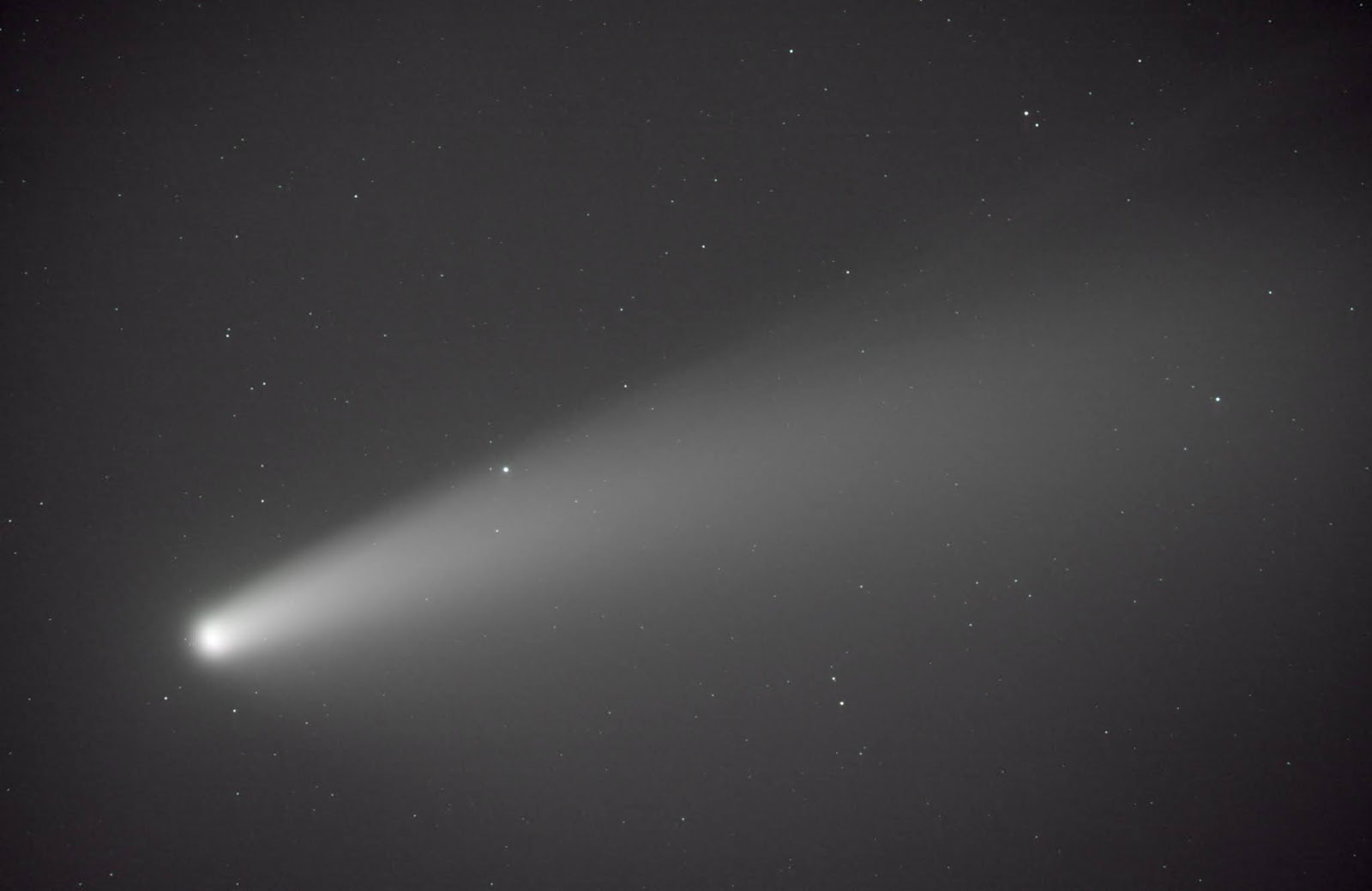 Sky And Rockets Comet Neowise Close Up