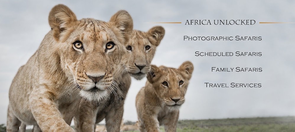 Africa Unlocked - Private Guided Safaris