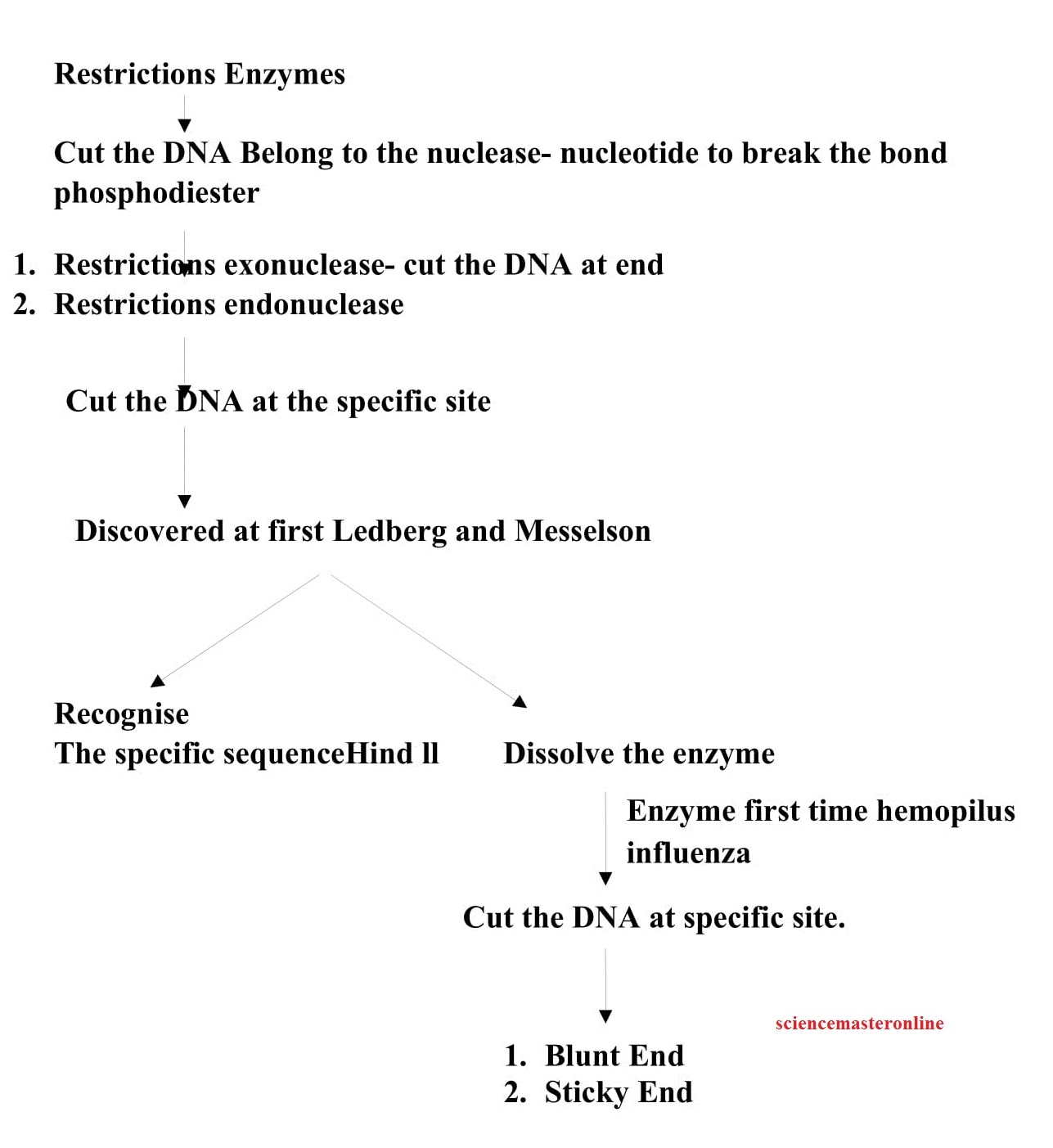 MOLECULAR CLONING METHOD DNA CLONING VECTORS Science Master