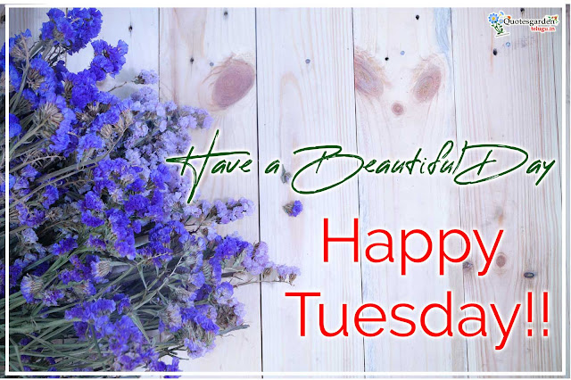 good morning happy tuesday images quotes inspirational messages