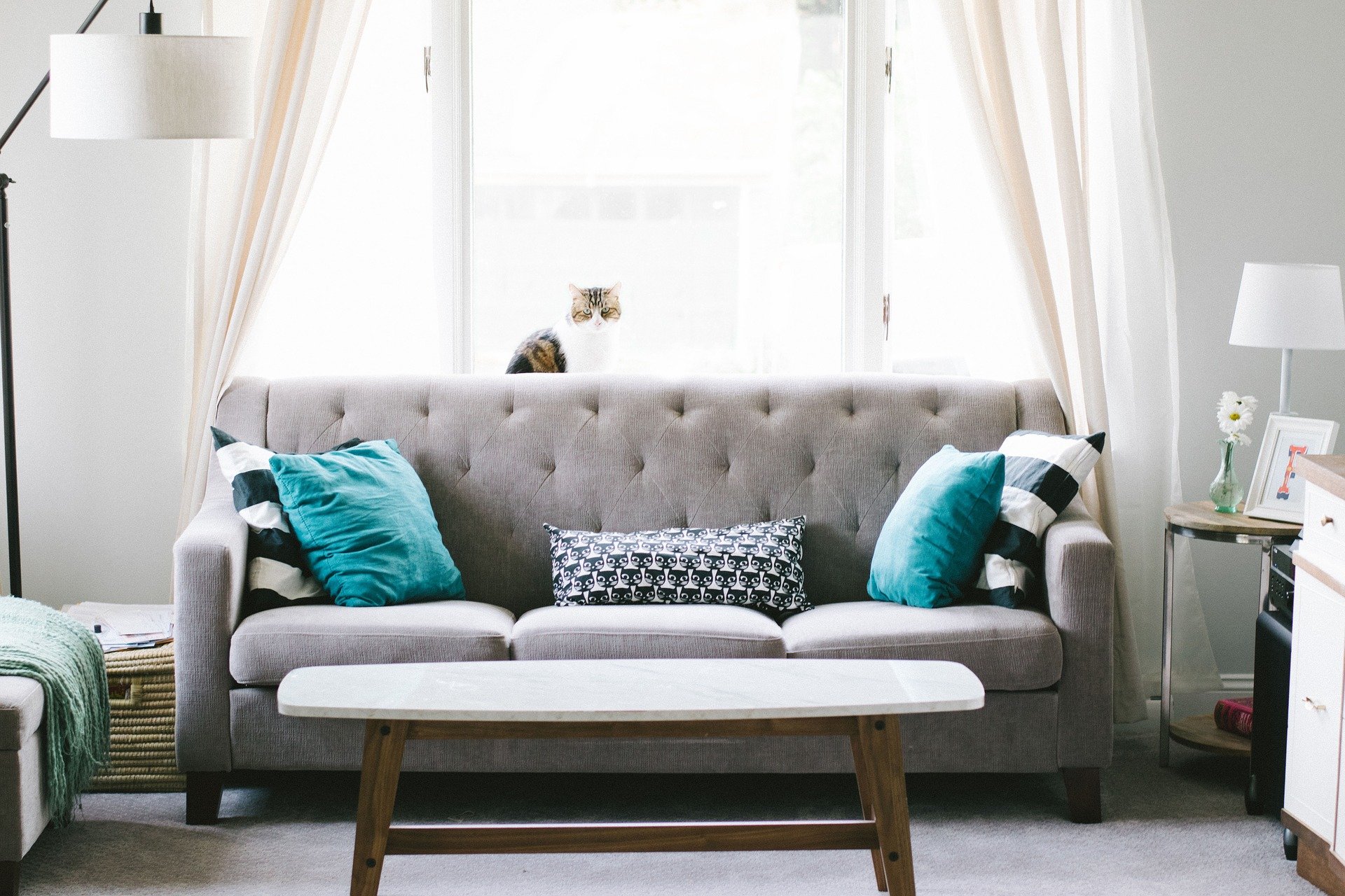 How to keep your sofa clean