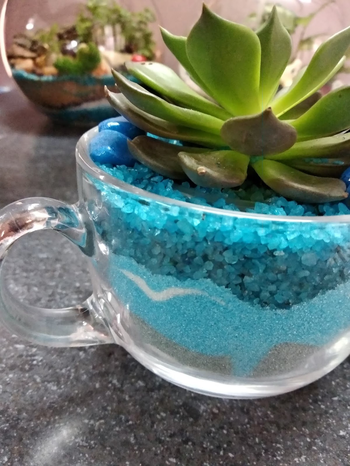 Pebbles Terrarium Blog Basic Sand Art Container Garden Terrarium