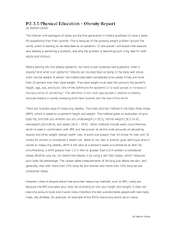 Overweight personal essay 05 image