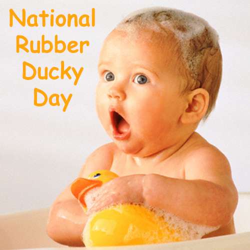 National Rubber Ducky Day Wishes National Rubber Ducky Day Wishes