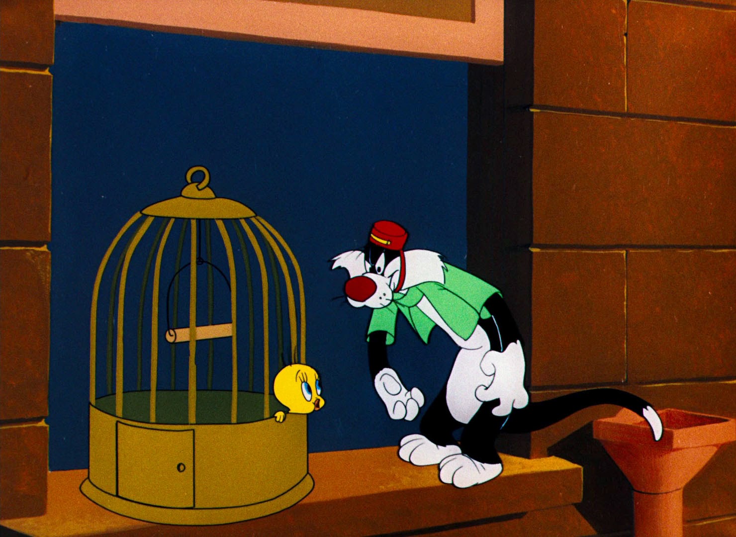 Looney Tunes Pictures Quot Canary Row Quot