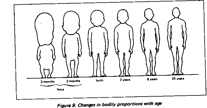 Petite Yet Fierce Body Proportions petite-yet-fierce-body-proportions